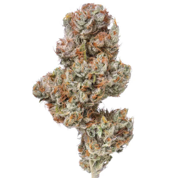 flow gardens flower tennessee tangie hydroponic