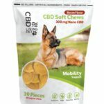 CBD Living Mobility Dog Chews