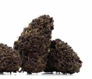Forbidden Fruit