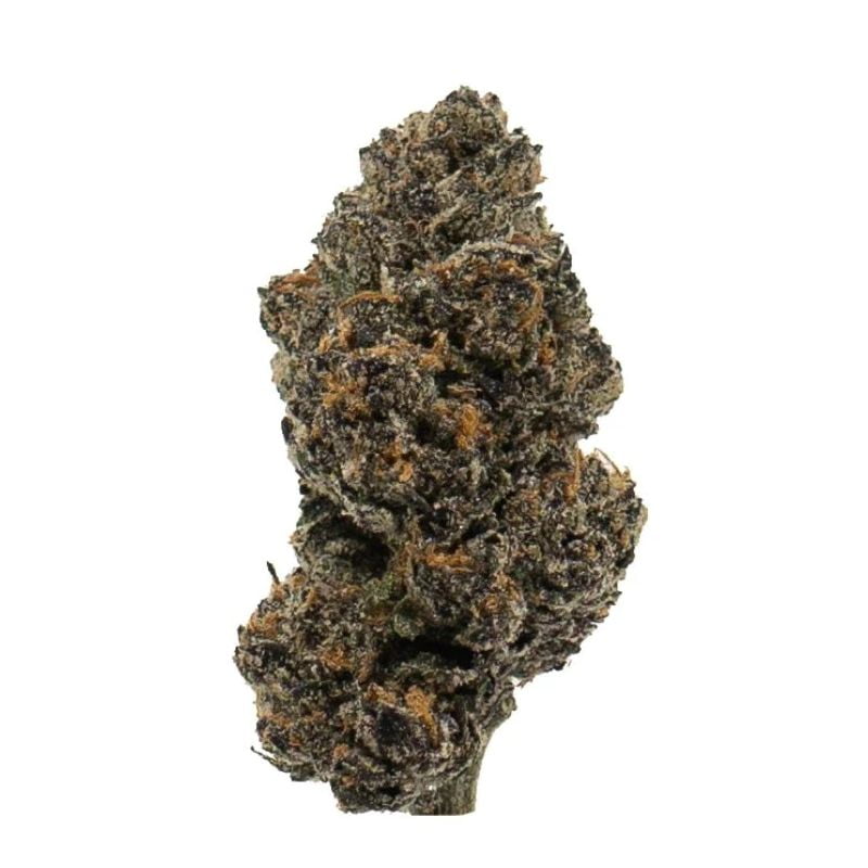 Buy Fruity Loops Shop THCA Hemp Flower Strains Black Tie