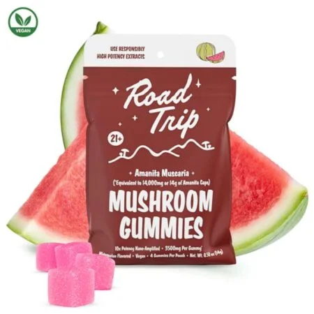 ROAD TRIP AMANITA MUSHROOM GUMMIES WATERMELON