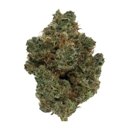 LEMON LUSH INDOOR HIGH THCA FLOWER BLACK TIE