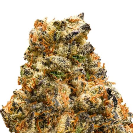 Wiz Kid