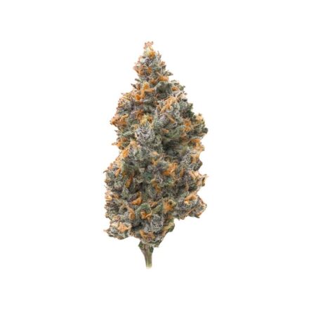 Mystic Mountain Blueberry
