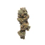 Papaya Gushers