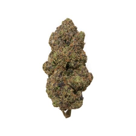 Lemon Cherry Gelato