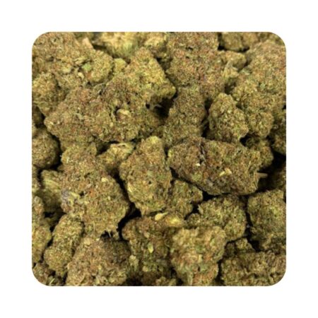 Blue Skunk