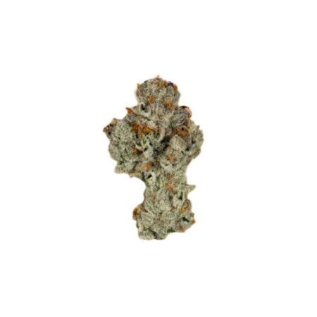 Blue Cookie